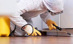 Best Emergency Pest Control  in Alsip, IL